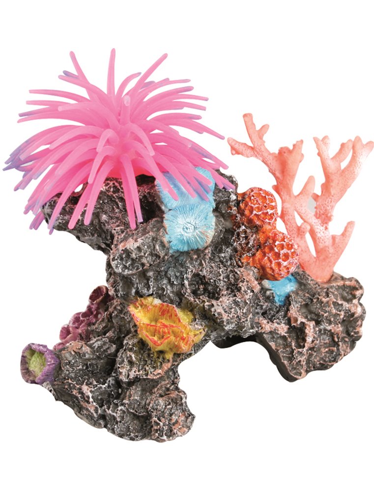 Decoratie rif met anemoon