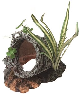 Decoratie mand met planten - l