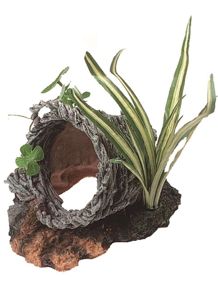 Decoratie mand met planten - l