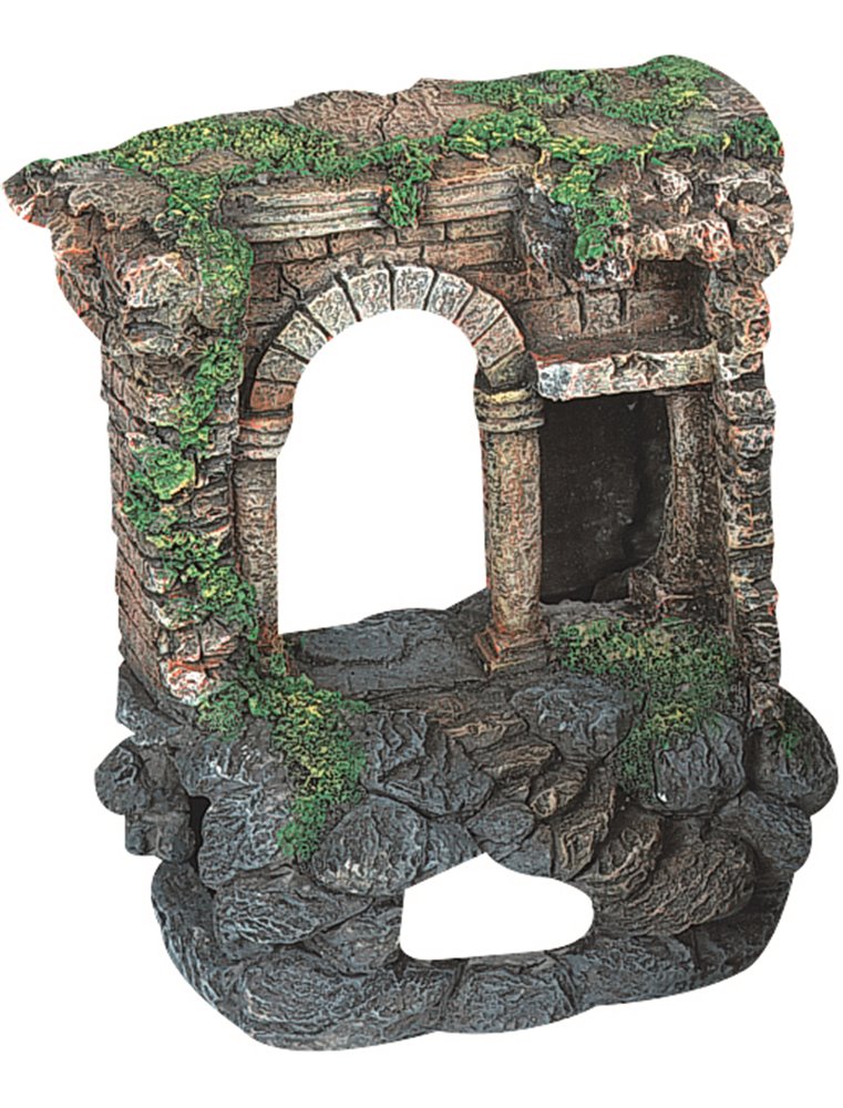 Decoratie ruine ass.