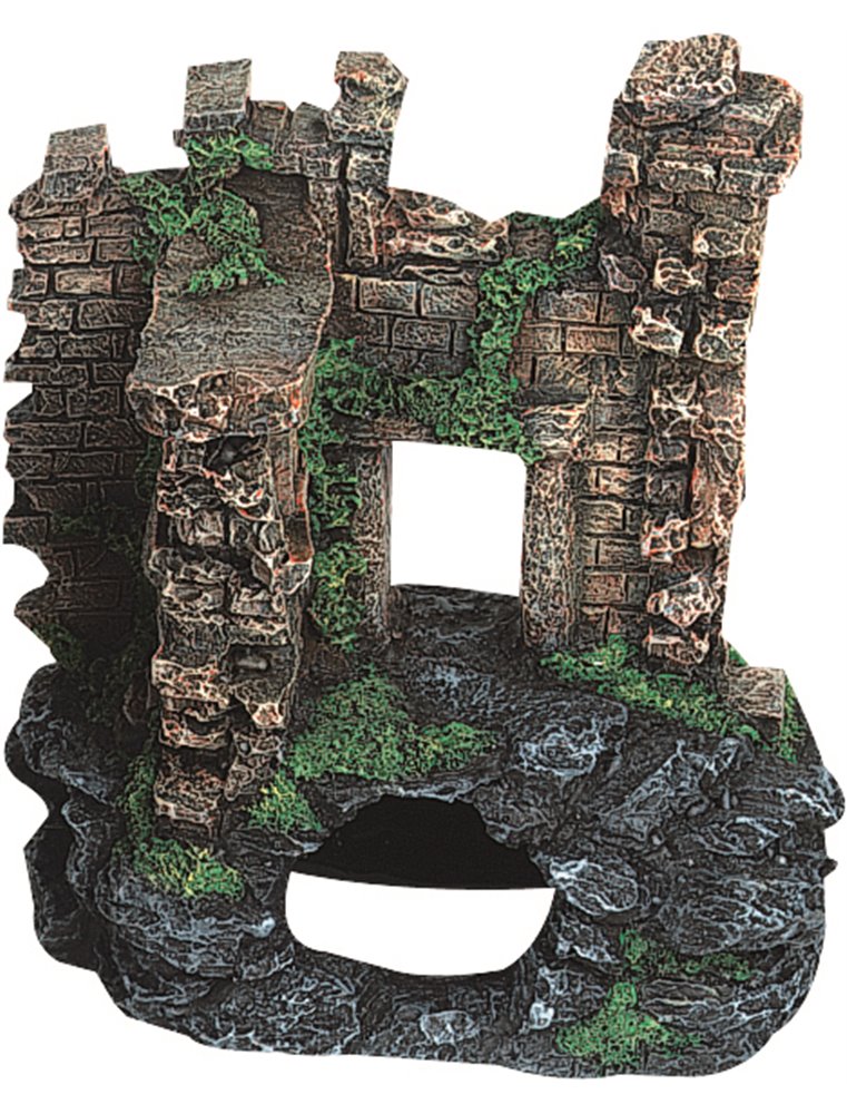 Decoratie ruine ass.