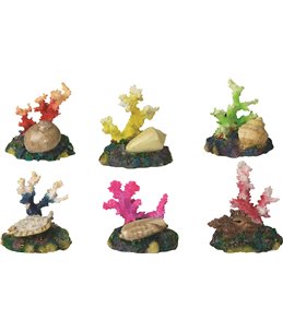 Decoratie koraal+schelp+tube 