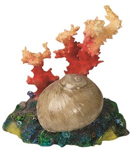 Decoratie koraal+schelp+tube