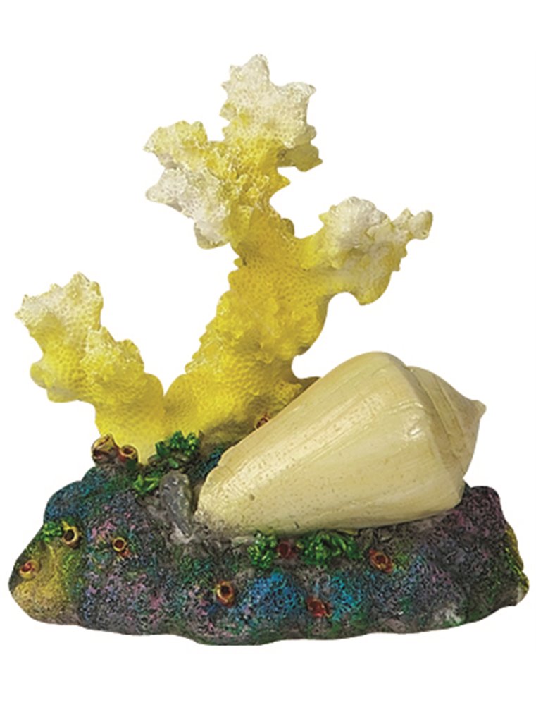 Decoratie koraal+schelp+tube