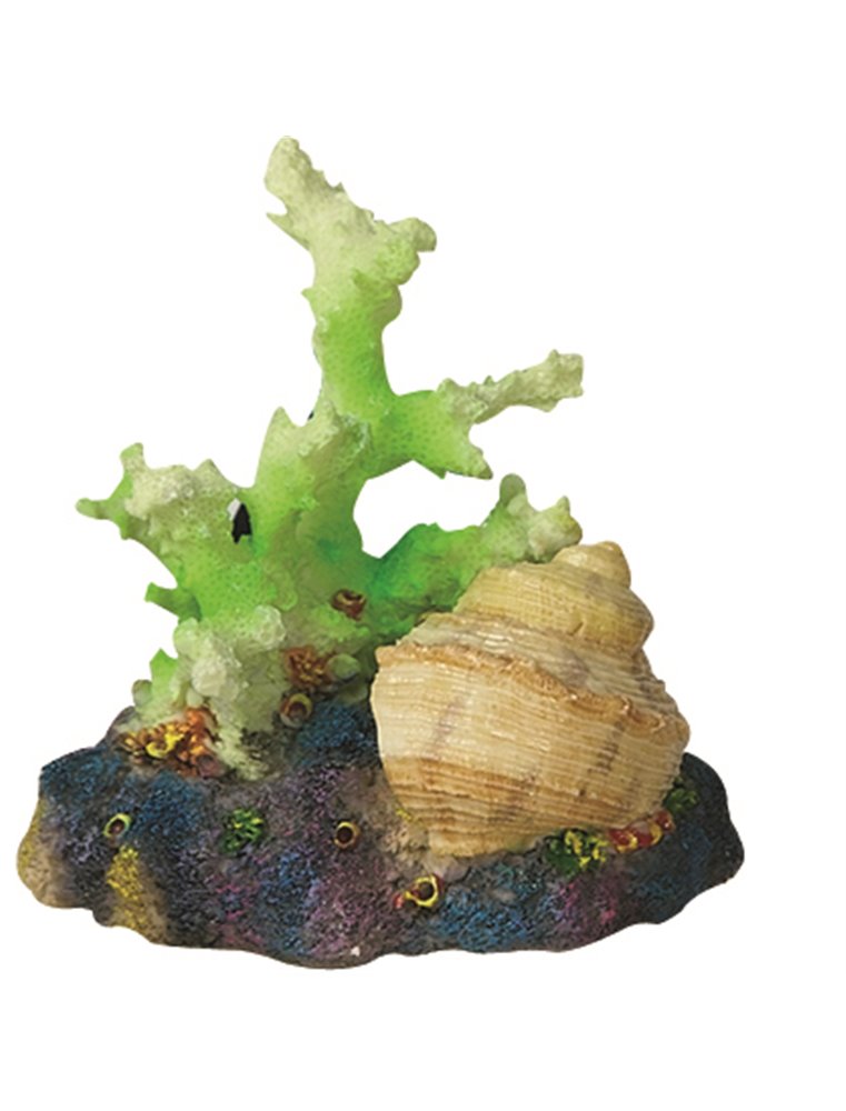 Decoratie koraal+schelp+tube