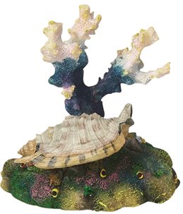 Decoratie koraal+schelp+tube