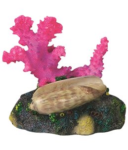 Decoratie koraal+schelp+tube