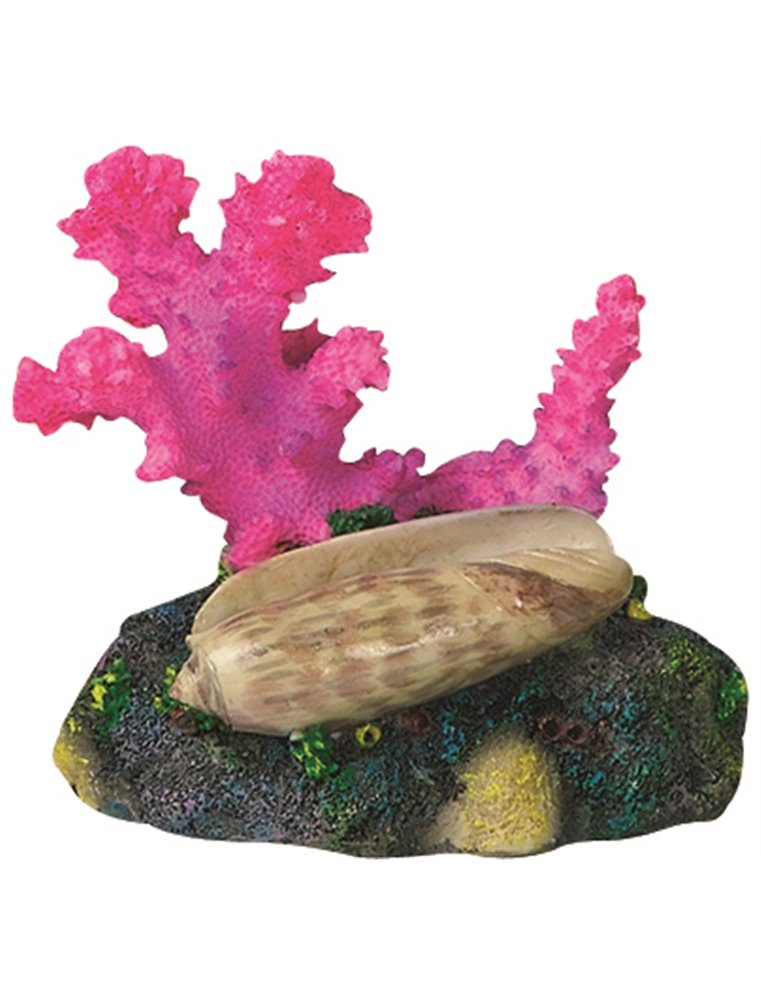 Decoratie koraal+schelp+tube