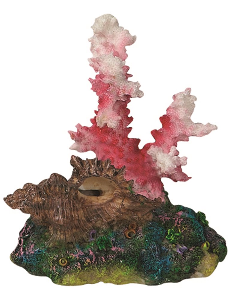 Decoratie koraal+schelp+tube