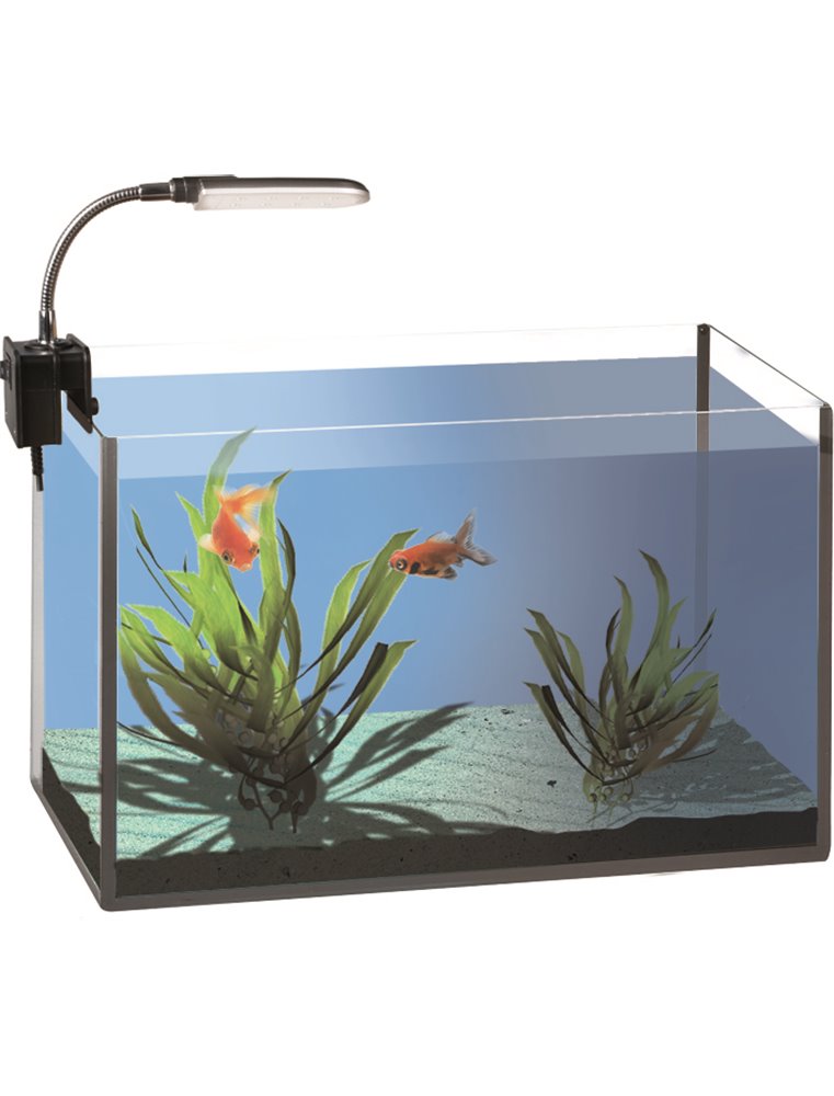 Aquarium klemlamp starled