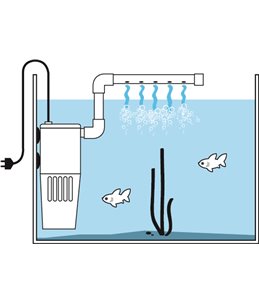 Biologische filter - s  shark
