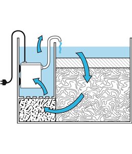 Biologische filter - s  shark