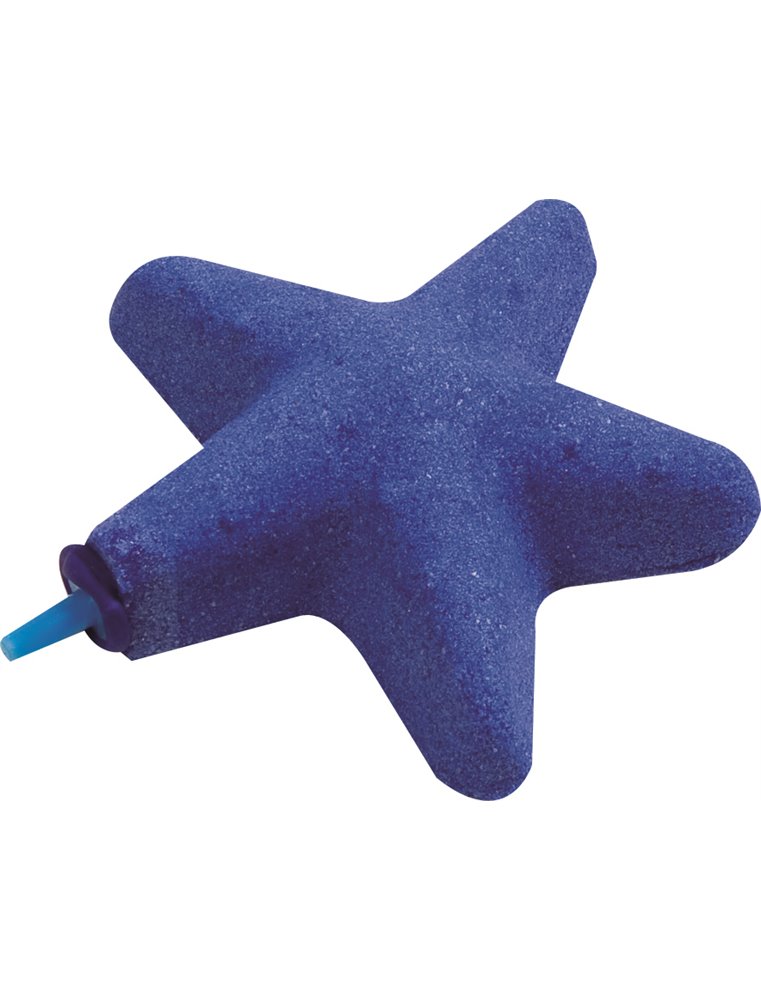 Uitstromer starfish