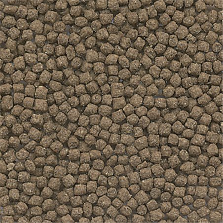 Gold korrelvoer goudvis 250ml 