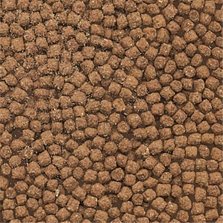 Pp cichlid korrelvoer 500ml 