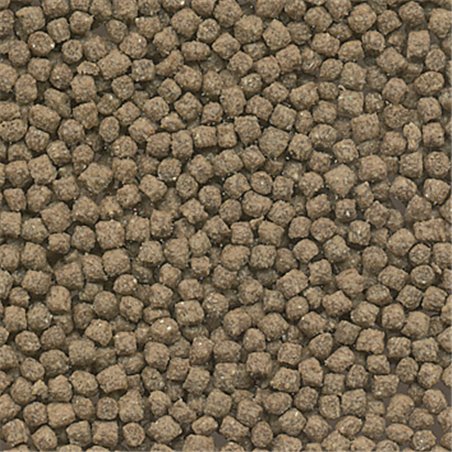 Pp turtle korrelvoer schildpad 250m 