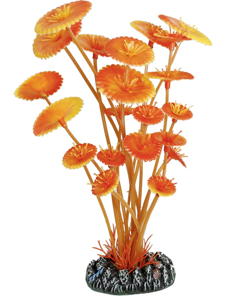 Aq. plant plastic cuba bruin m