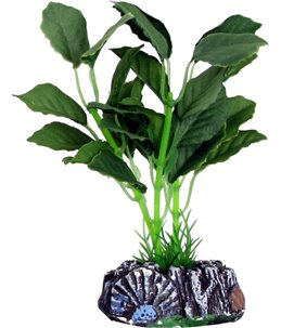 Aq. plant zijde brasil plant1 s