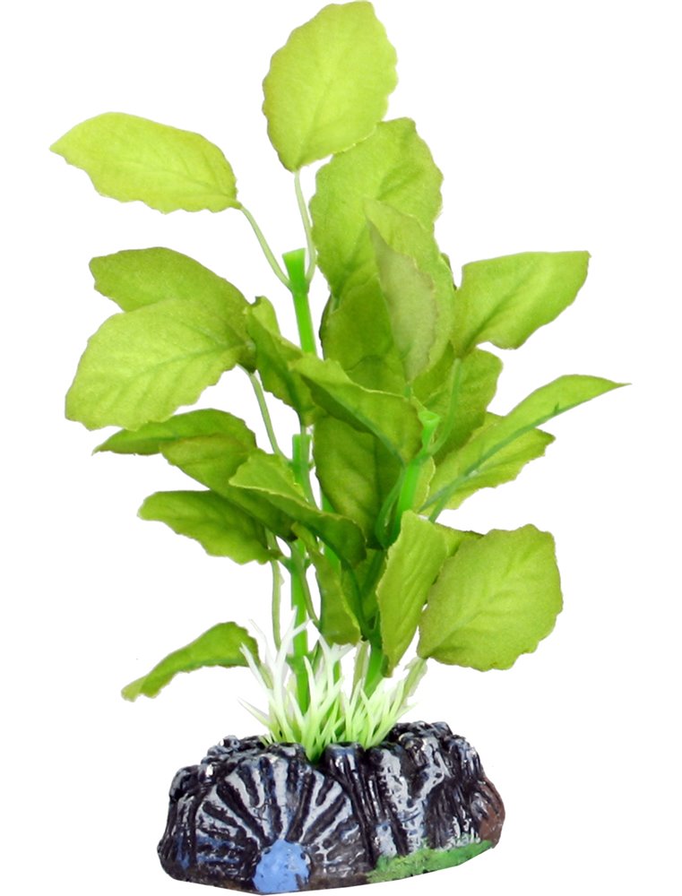 Aq. plant zijde brasil plant3 s