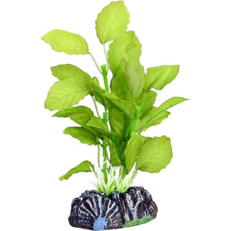 Aq. plant zijde brasil plant3 s 