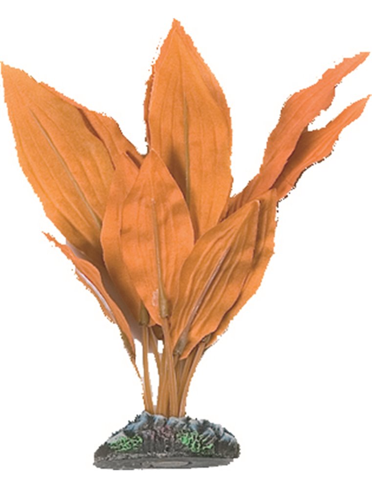 Aq. plant zijde egypt plant5 xs
