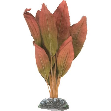 Aq. plant zijde egypt plant4 s 
