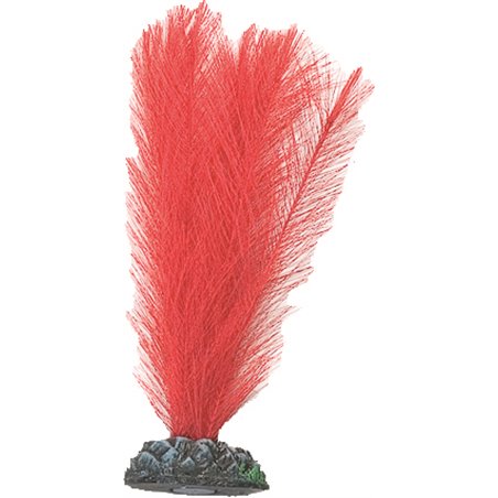 Aq. plant zijde egypt plant6 s 