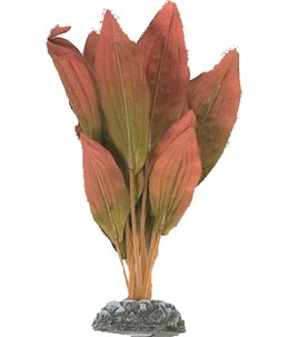 Aq. plant zijde egypt plant4 m