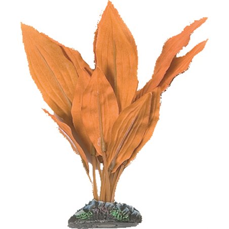 Aq. plant zijde egypt plant5 m 