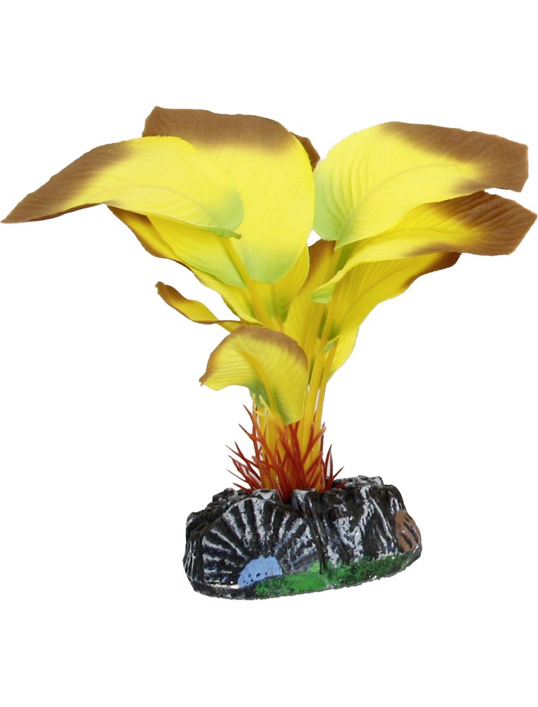 Aq. plant zijde tanzania plant5 s