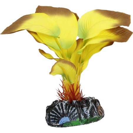 Aq. plant zijde tanzania plant5 s 