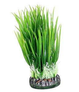 Aq plant plastic sri lanka plant1 s 