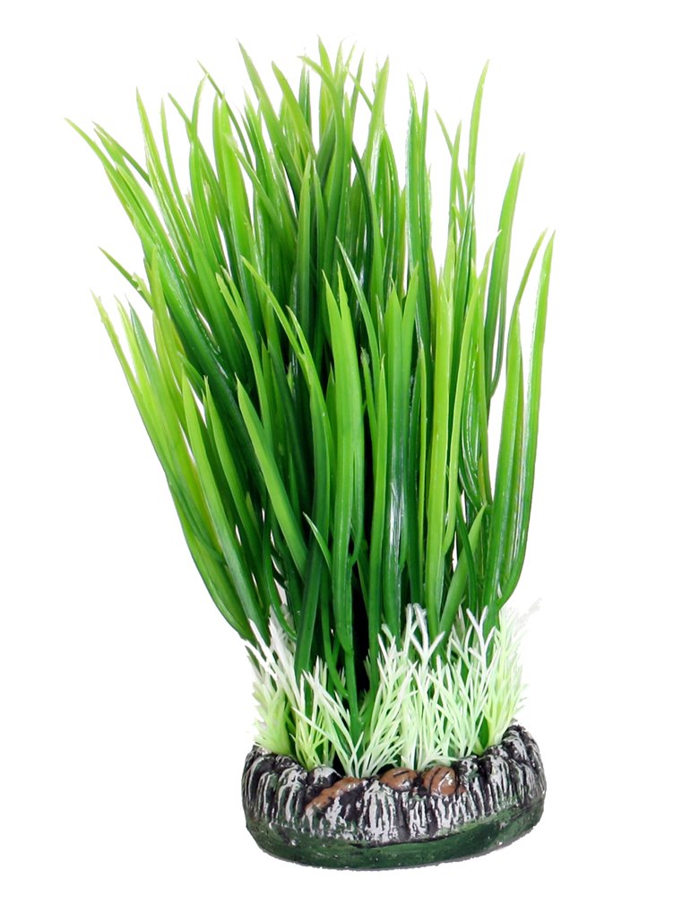 Aq plant plastic sri lanka plant1 s