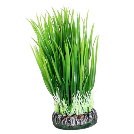 Aq plant plastic sri lanka plant1 s 