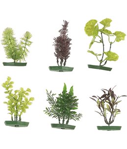 Aquarium plant assortiment - s