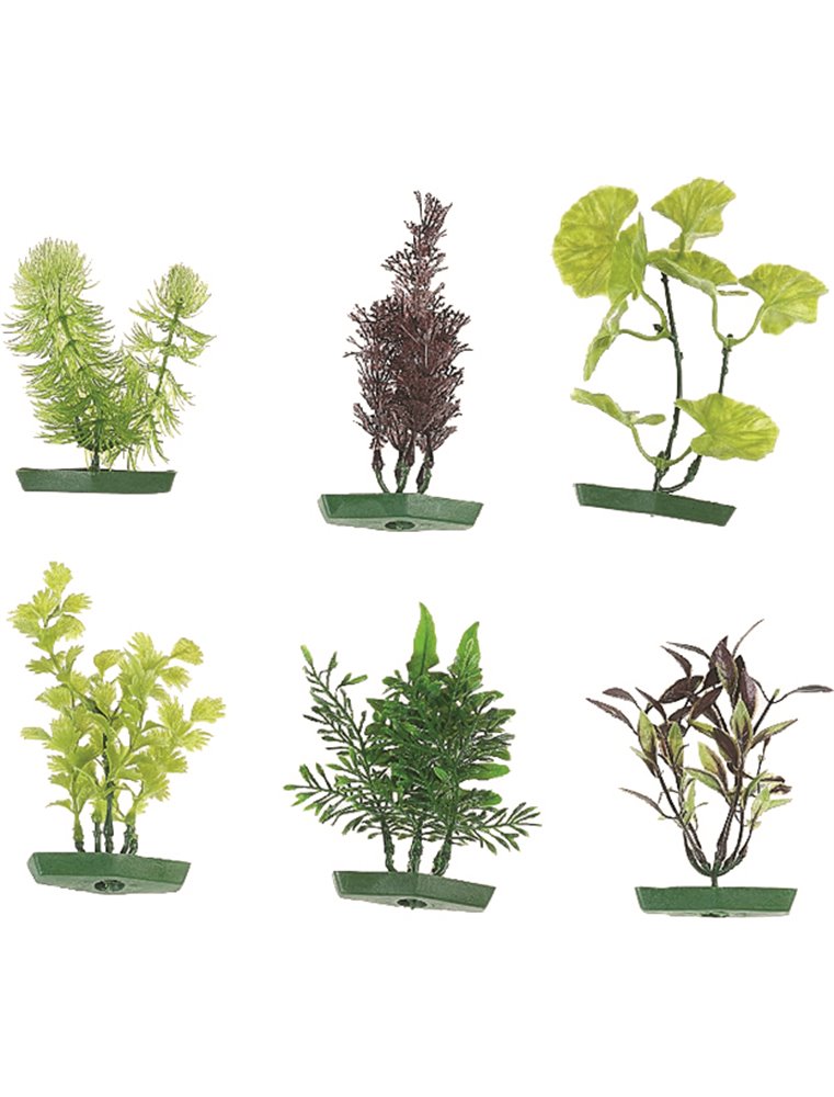 Aquarium plant assortiment - s