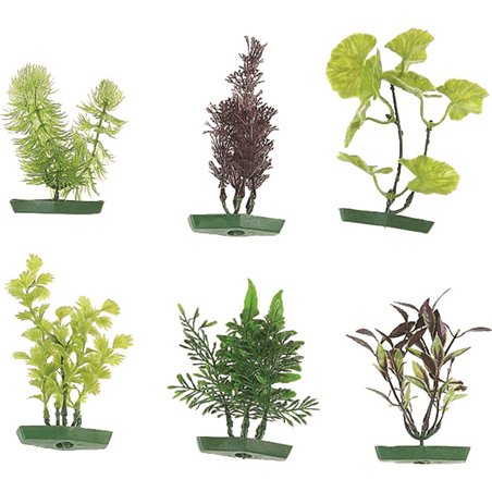 Aquarium plant assortiment - s 
