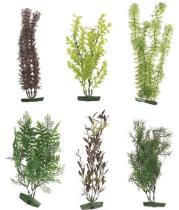 Aq. plant assortiment - xl 