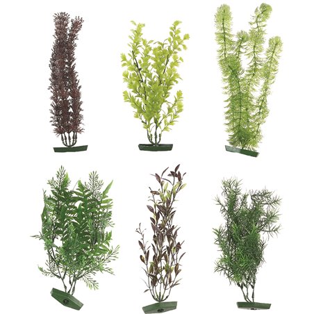 Aq. plant assortiment - xl 