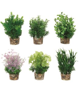 Aq. plant plastic ass. - s