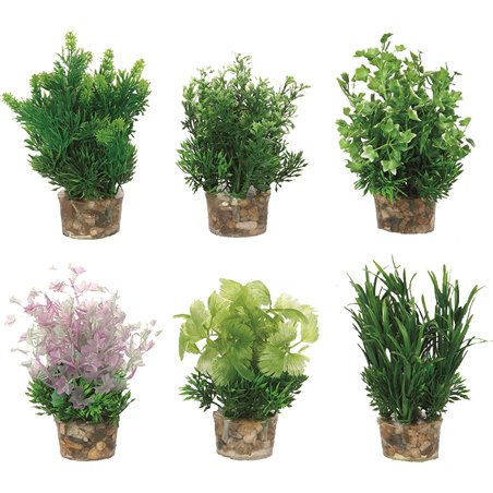 Aq. plant plastic ass. - s 