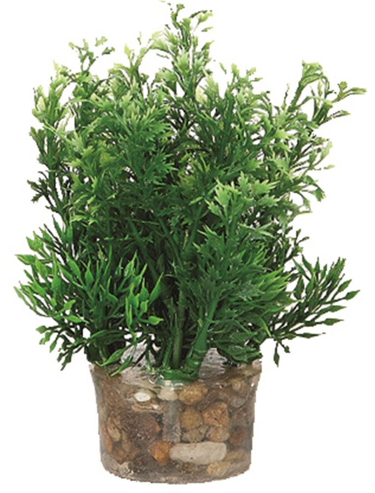 Aq. plant plastic ass. - s