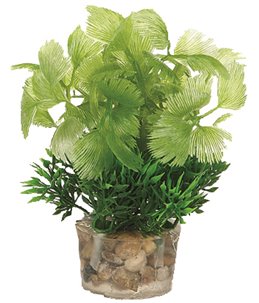Aq. plant plastic ass. - s