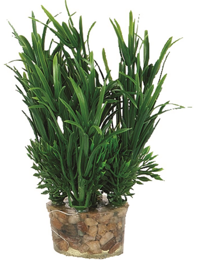 Aq. plant plastic ass. - s