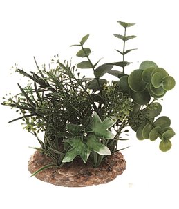 Aq. plant plastic ass. - m