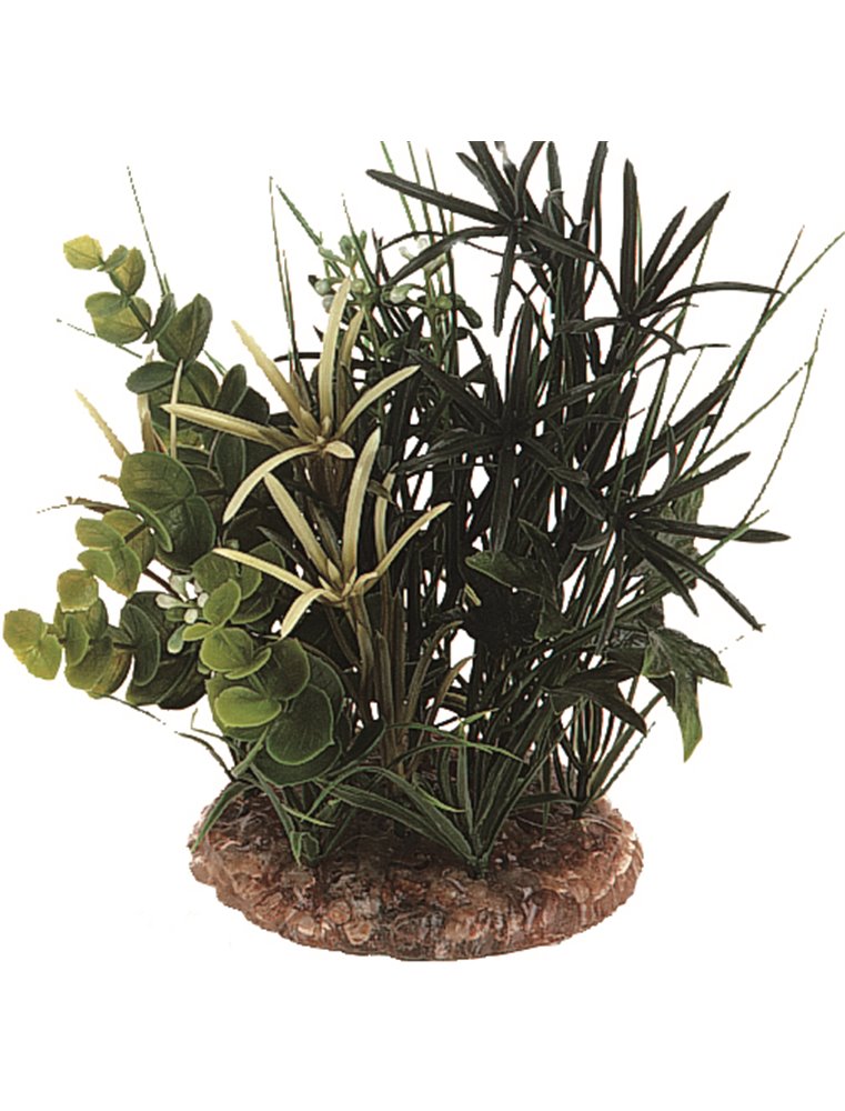 Aq. plant plastic ass. - m