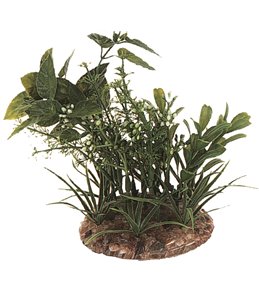 Aq. plant plastic ass. - m