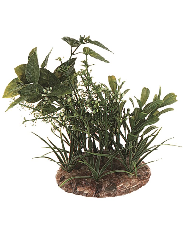 Aq. plant plastic ass. - m