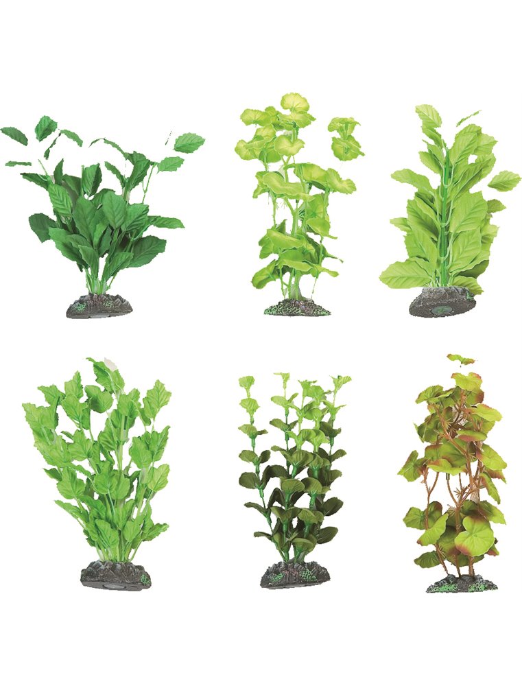 Aq. plant zijde brasil ass. - m