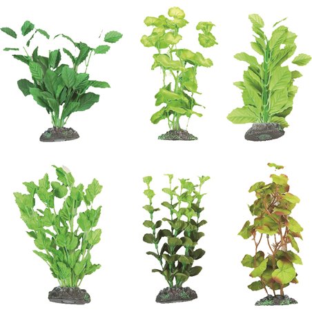 Aq. plant zijde brasil ass. - l 